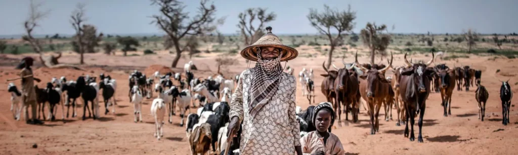 HORN Borderlands & Peacebuilding Program