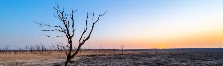Climate Adaptation and Security Program (CASP)