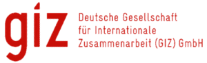 GIZ Logo
